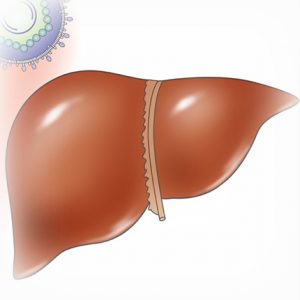 hepatita-virala