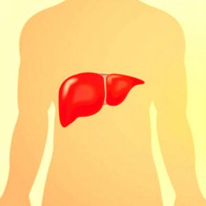 hepatitele-cronice