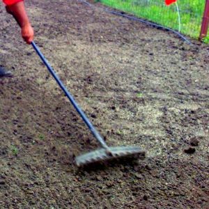 Pregătirea-terenului-pentru-semănatul-gazonului