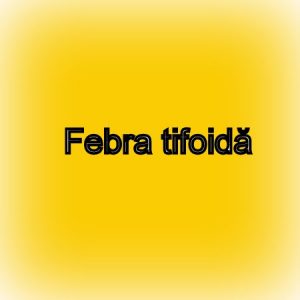 febra-tifoida