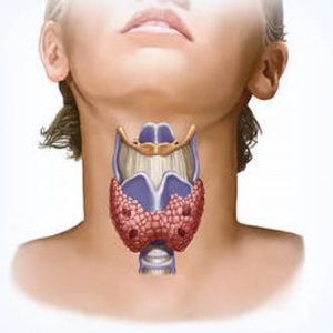 Hiperparatiroidismul